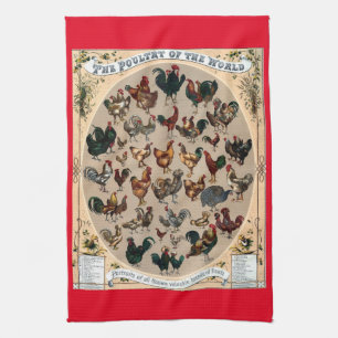 Vintage Geflügelvögel Huhn und Hahndiagramm Geschirrtuch