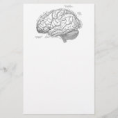 Vintage Gehirn-Anatomie Briefpapier (Vorderseite)