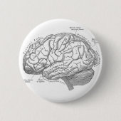 Vintage Gehirn-Anatomie Button (Vorderseite)
