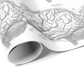 Vintage Gehirn-Anatomie Geschenkpapier (Rolleneckpunkt)