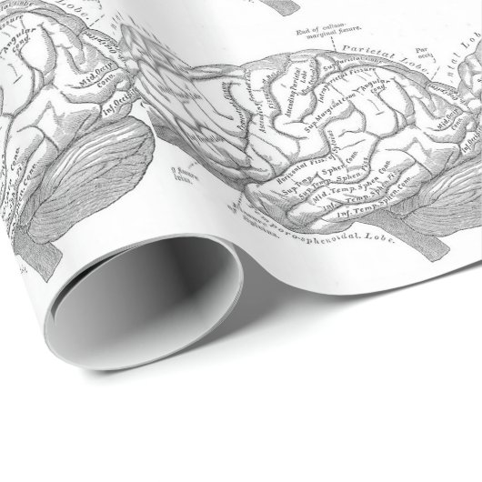 Vintage Gehirn-Anatomie Geschenkpapier (Rolleneckpunkt)