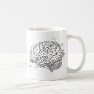 Vintage Gehirn-Anatomie Kaffeetasse