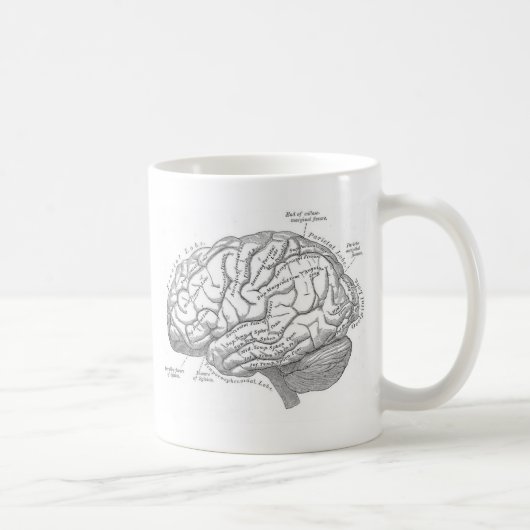 Vintage Gehirn-Anatomie Kaffeetasse (Rechts)