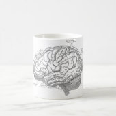 Vintage Gehirn-Anatomie Kaffeetasse (Mittel)