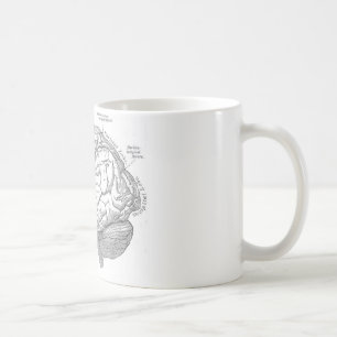 Vintage Gehirn-Anatomie Kaffeetasse
