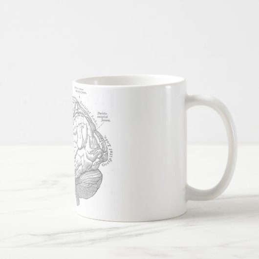 Vintage Gehirn-Anatomie Kaffeetasse (Rechts)