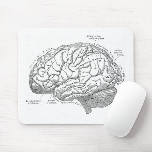 Vintage Gehirn-Anatomie Mousepad (Mit Mouse)