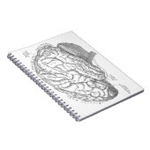 Vintage Gehirn-Anatomie Notizblock (Rechte Seite)