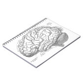 Vintage Gehirn-Anatomie Notizblock (Linke Seite)