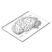 Vintage Gehirn-Anatomie Notizblock (Linke Seite)