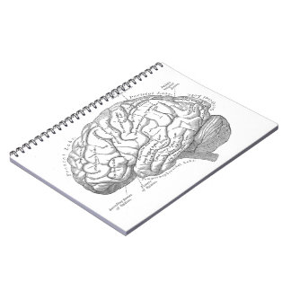 Vintage Gehirn-Anatomie Notizblock