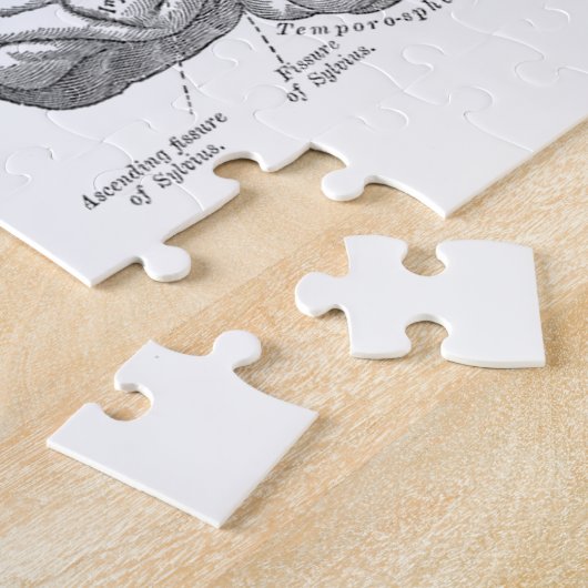 Vintage Gehirn-Anatomie Puzzle (Seite)