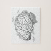 Vintage Gehirn-Anatomie Puzzle (Vertikal)