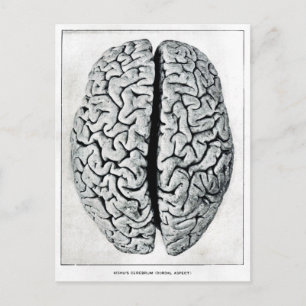 Vintage-Gehirn-Postkarte Postkarte