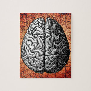 VINTAGE-GEHIRN-ZEICHNUNG PUZZLE