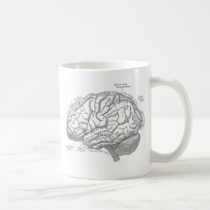 Vintage-Gehirnanatomie Kaffeetasse