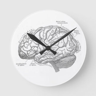 Vintage Gehirnanatomie Runde Wanduhr