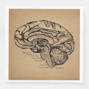 Vintage-Gehirndiagramm Antike medizinische Anatomi Serviette