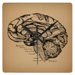 Vintage-Gehirndiagramm Antiquität Medizinische Ana Quadratische Wanduhr