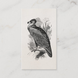 Vintage-Geier-Vogel personalisierte Geier Vögel Visitenkarte