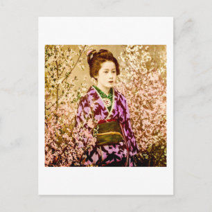 Vintage-Geisha beim Posieren in Kirschblüten Postkarte