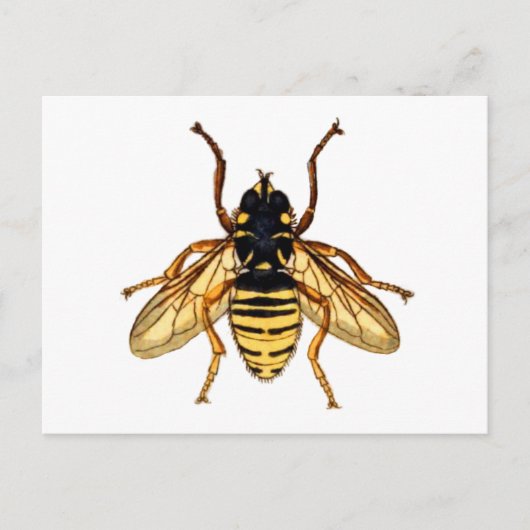 Vintage Gelbbiene Postkarte (Vorderseite)