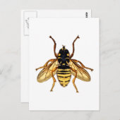 Vintage Gelbbiene Postkarte (Vorne/Hinten)