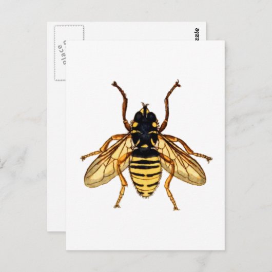 Vintage Gelbbiene Postkarte (Vorne/Hinten)