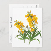 Vintage gelbe Blumen botanische Abbildung Postkarte (Vorne/Hinten)