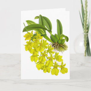 Vintage gelbe Orchid-Blume Blank-Note-Karte Karte