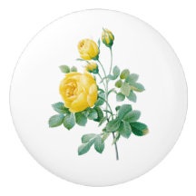Vintage Gelbe Rose Fine Art