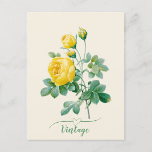 Vintage Gelbe Rose Fine Art Postkarte