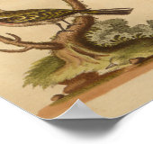 Vintage Gelbe Rotdrucke Poster (Ecke)