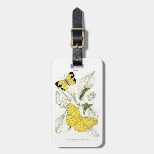 Vintage gelbe Schmetterlings-Insekten Gepäckanhänger (Vorderseite vertikal)