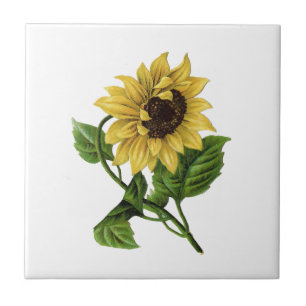 Vintage Gelbe Sonnenblume Fliese