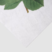 Vintage Gelbrosen-Blume Seidenpapier (Detail)