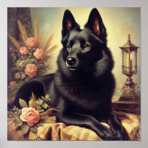 Vintage-Gemälde eines Schipperke-Hundes Poster