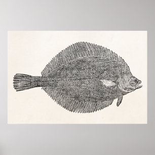 Vintage gemeine Klecks-Scholle-Fische - Schablone Poster
