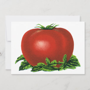 Vintage-Gemüse, rote reife Tomaten-Einladung Einladung