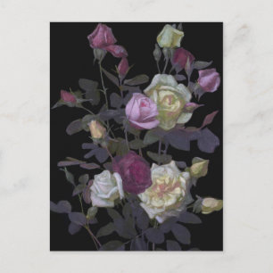 Vintage George Lambdin Stillleben mit Rosen Postkarte