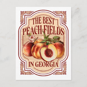 Vintage-Georgia-Pfirsichfelder-Postkarte Postkarte