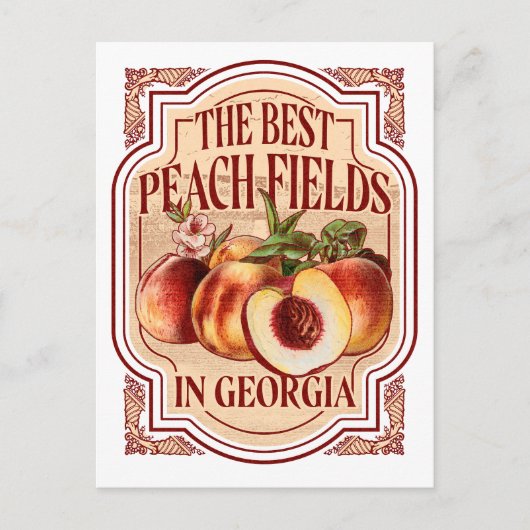 Vintage-Georgia-Pfirsichfelder-Postkarte Postkarte (Vorderseite)