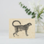 Vintage Gepard Postkarte (Stehend Vorderseite)