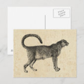 Vintage Gepard Postkarte (Vorne/Hinten)