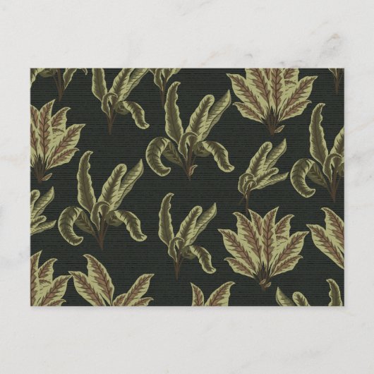 Vintage gepunktete Pflanze Postkarte (Vorderseite)