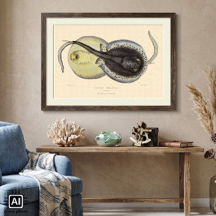 Vintage Gepunktete Rochen, Meerestiere Poster