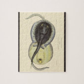 Vintage Gepunktete Rochen, Meerestiere Puzzle (Vertikal)