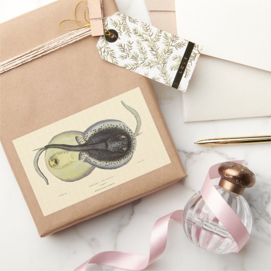 Vintage Gepunktete Rochen, Meerestiere Rechteckiger Aufkleber (Schenken)