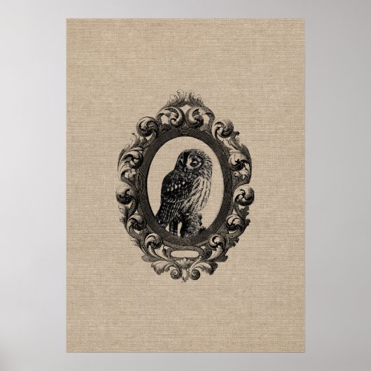 Vintage gerahmte Eule, Vögel rustikal chic Poster (Vorne)