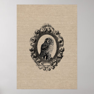 Zeichnen Eule Kunst Poster Zazzle De